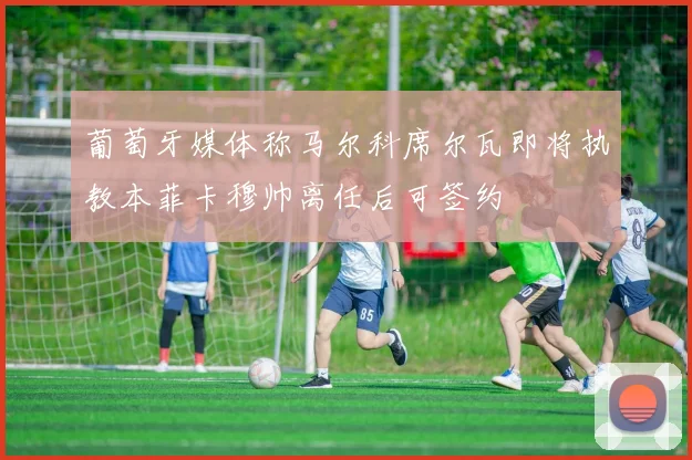 葡萄牙媒体称马尔科席尔瓦即将执教本菲卡穆帅离任后可签约