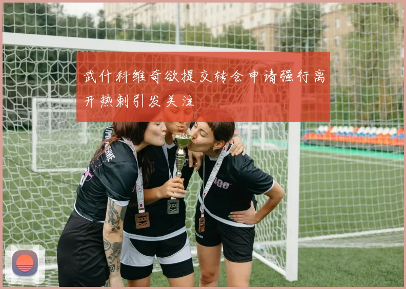 武什科维奇欲提交转会申请强行离开热刺引发关注